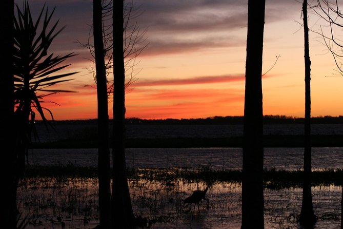 1-Hour Evening Airboat Ride - The guides are a big part of the value