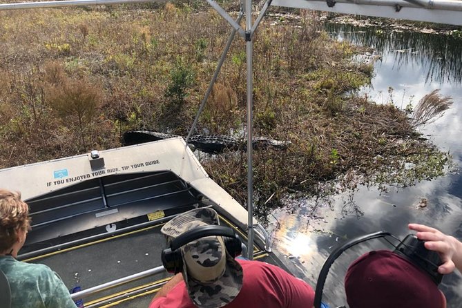 1 Hour Everglades Airboat Tour Orlando Florida - A quick airboat introduction to Florida’s wetland world