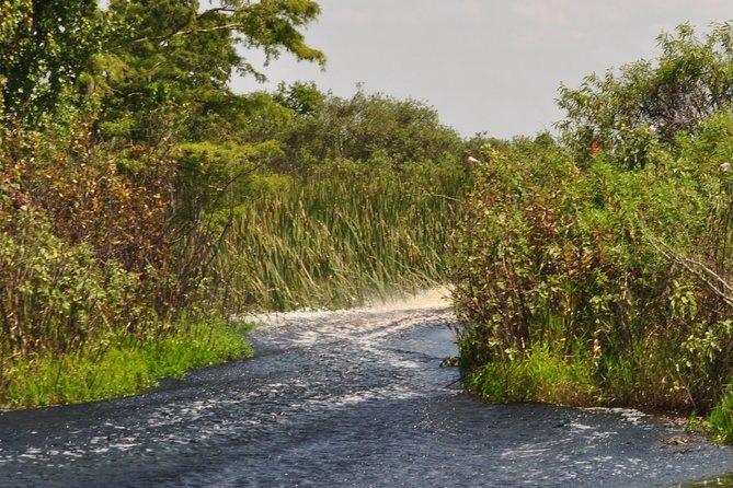 1 Hour Everglades Airboat Tour Orlando Florida - Who will enjoy this most