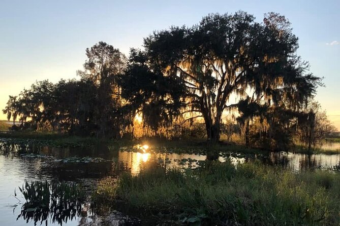 1 Hour Florida Everglades Wildlife Tour - Why the group size matters