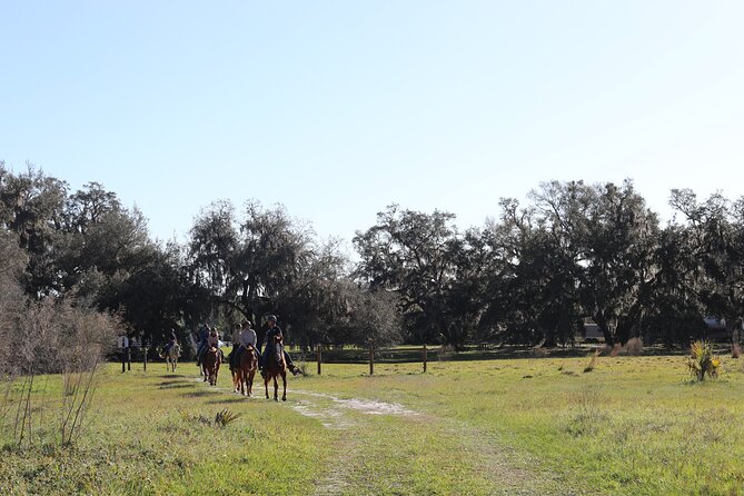 1 Hour Guided Horseback Trail Ride Rock Springs Run State Reserve - Water, wildlife, and the Rock Springs setting
