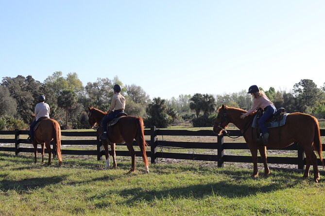 1 Hour Guided Horseback Trail Ride Rock Springs Run State Reserve - Animal welfare and the serious concern to consider