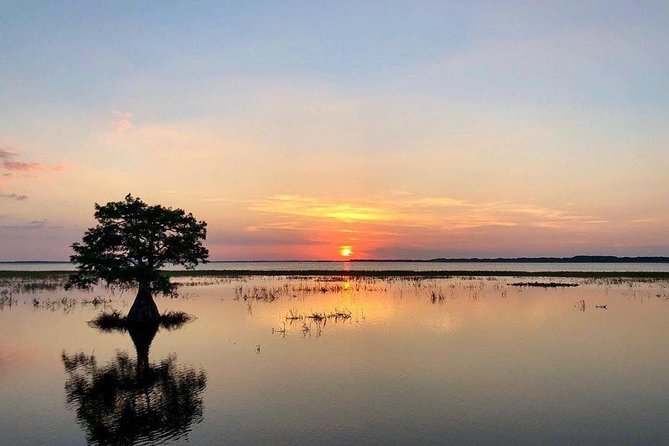 1-Hour Sunset Airboat Ride near Orlando - Why the sunset departure works so well