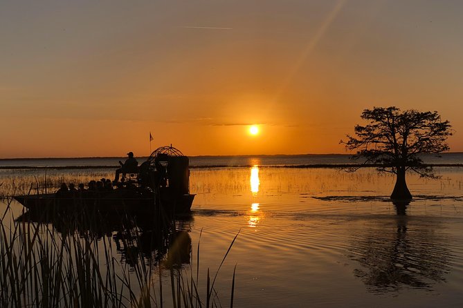 1-Hour Sunset Airboat Ride near Orlando - Wildlife sightings, from alligators to bald eagles