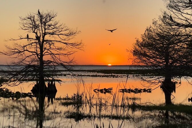 1-Hour Sunset Airboat Ride near Orlando - Weather and cancellation details that matter