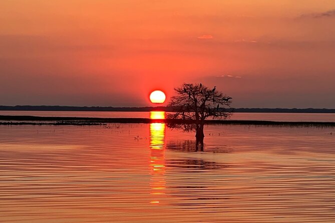 1-Hour Sunset Airboat Ride near Orlando - Who will enjoy this airboat ride most