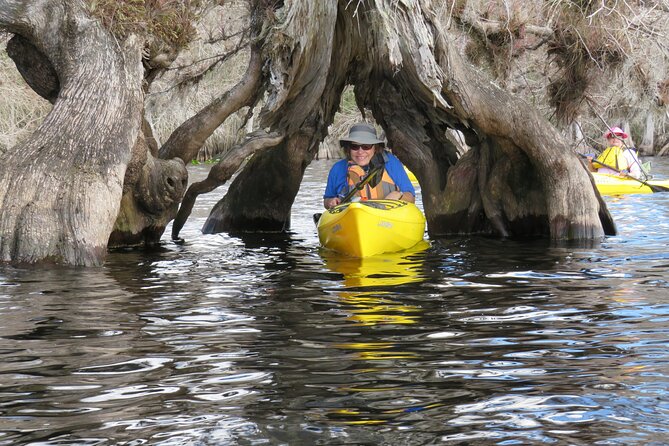 3 Hour Small Group Lake Norris Kayak Activity - Getting on the water with a small group