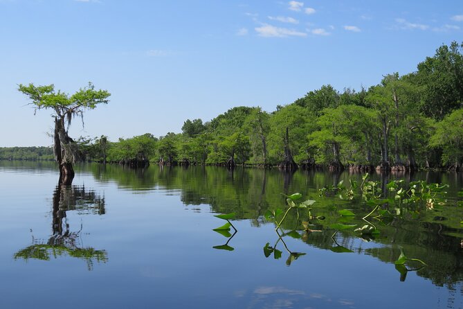 3 Hour Small Group Lake Norris Kayak Activity - What the three-hour route is really like