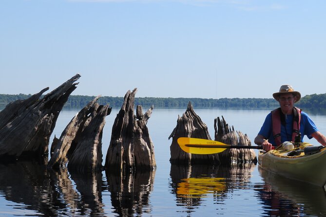 3 Hour Small Group Lake Norris Kayak Activity - Booking, cancellation, and planning details