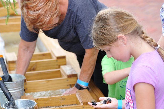 30-Minute Airboat Ride, Lunch, Gem Mining and Park Admission - Is $64.98 a fair price?