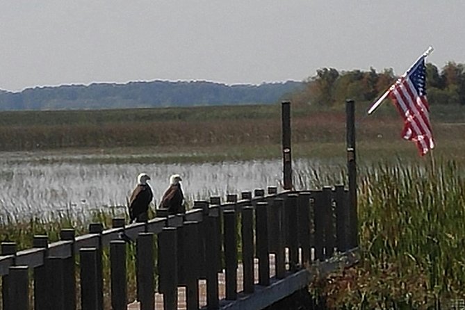 90 minute Everglades Airboat Tour near Orlando Florida - A real marsh experience close to Orlando