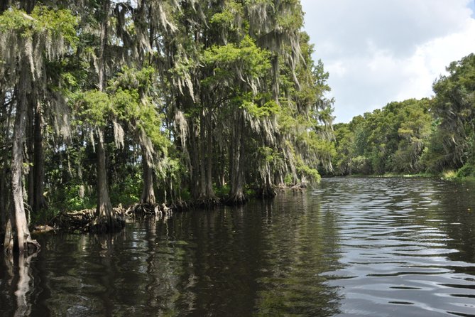 90 minute Everglades Airboat Tour near Orlando Florida - Birds, turtles, cranes, and the wider marsh