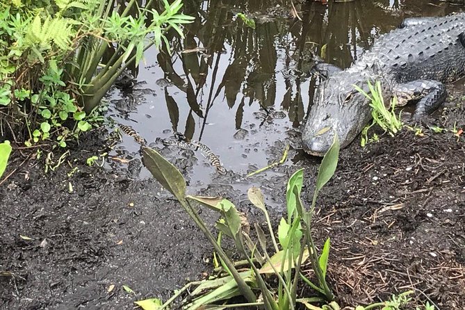 90 minute Everglades Airboat Tour near Orlando Florida - Choosing your start time and preparing for the ride