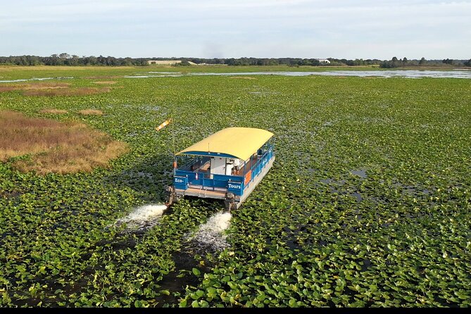 90 Minute Florida Everglades Boat Eco Tour - Key points to know before booking