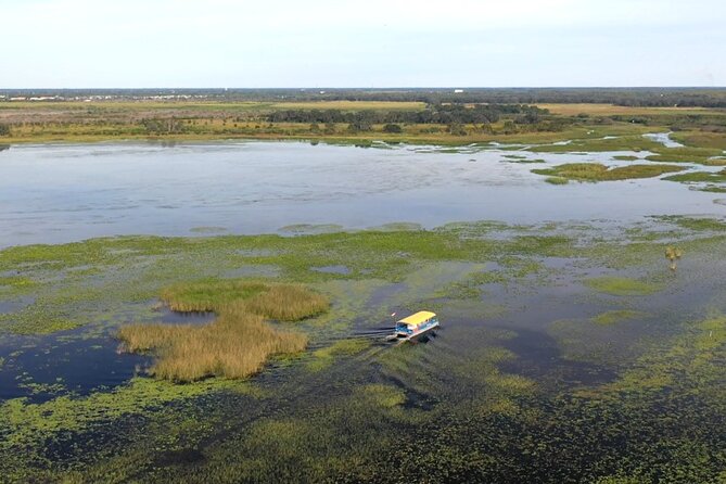 90 Minute Florida Everglades Boat Eco Tour - What the 90-minute cruise is like