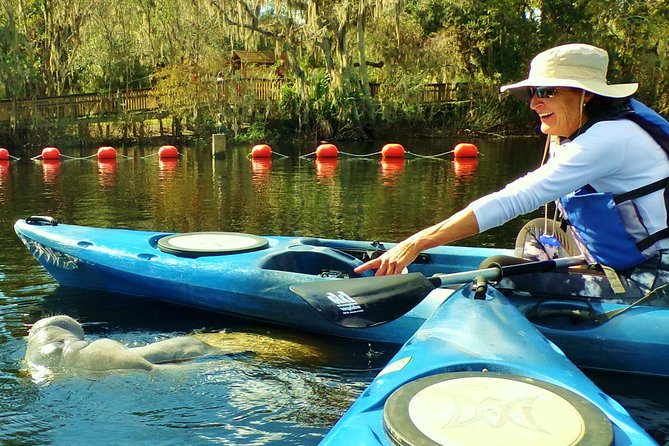 Blue Springs Manatee Tours & Wildlife Adventure Orlando - Manatee season and the protected spring area