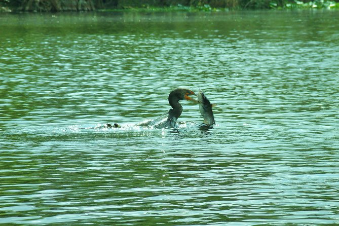 Blue Springs Manatee Tours & Wildlife Adventure Orlando - Gear, effort, and comfort on the water