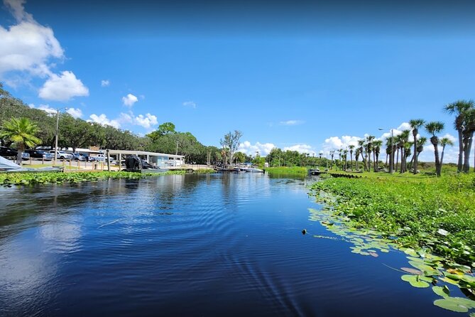 Central Florida's Airboat Rides - What you might see in 30 minutes