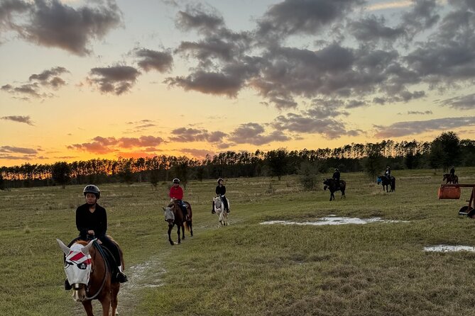 Champagne and Charcuterie Sunset Trail Ride - A Good Choice for a Different Orlando Evening