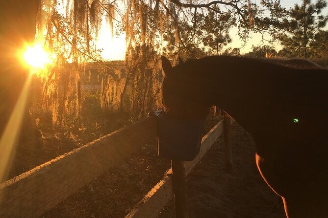 Champagne and Charcuterie Sunset Trail Ride - Sunset Timing and the Champagne Question