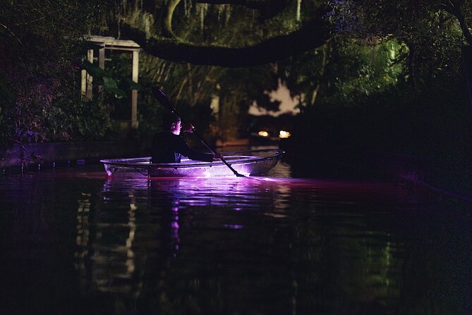 Clear Kayak Glow in the Dark Tour Through Winter Park - Wildlife is a bonus, not the whole plan