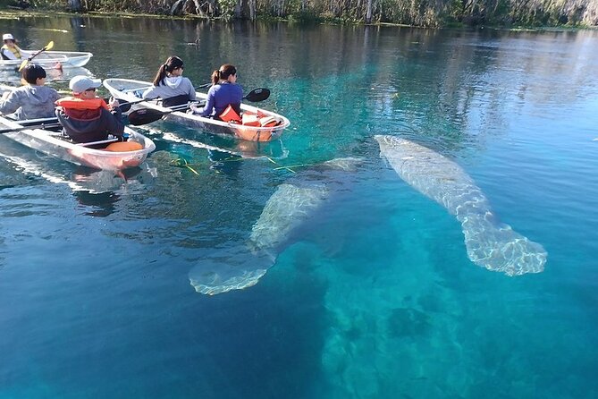 Clear Kayak or Paddleboard Manatee Adventure - Silver Springs, where the water does most of the talking