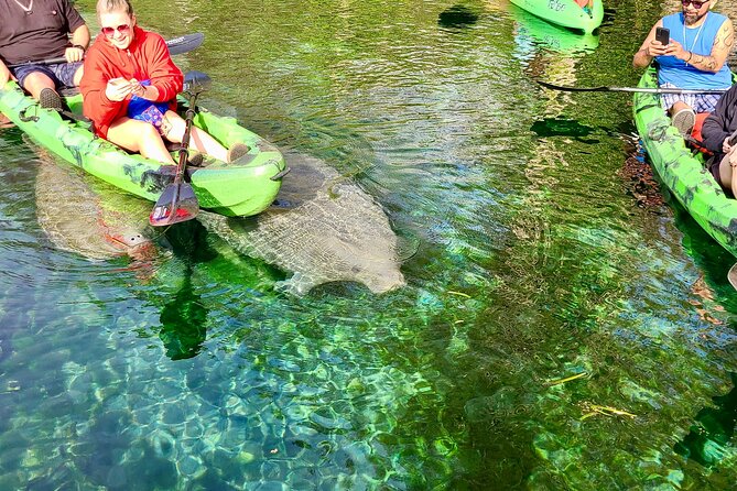 Clear Kayak or Paddleboard Manatee Adventure - The guides make a practical difference