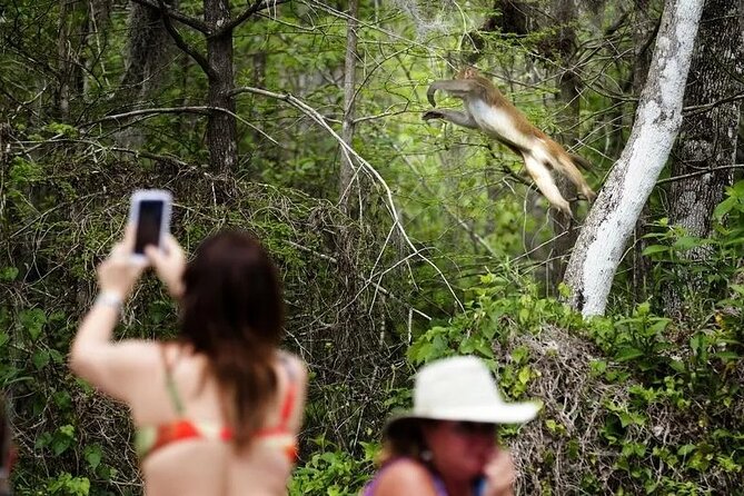 Clear Kayak or Paddleboard Manatee Adventure - What the two-hour outing feels like