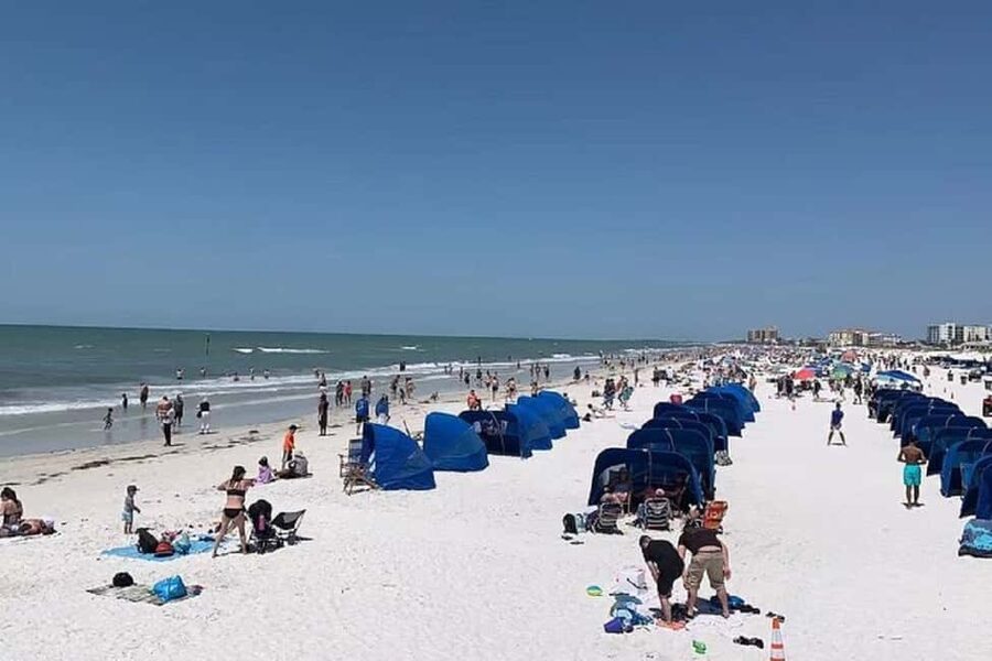 Clearwater Beach and Dolphin Cruise Day Trip from Orlando - Key points to know before you book