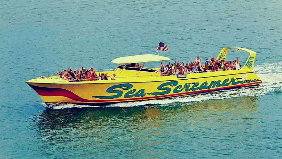 Clearwater Beach and Dolphin Cruise Day Trip from Orlando - The optional speedboat dolphin watch