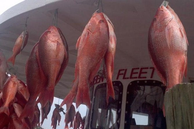 Clearwater Beach Day Trip from Orlando with Upgrade Options - Choosing the right boat option