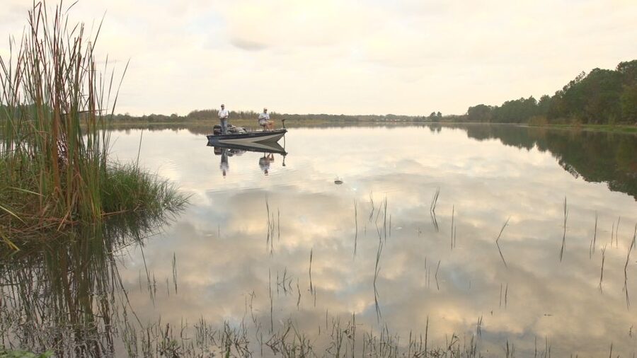 Clermont: Trophy Bass Fishing Experience with Expert Guide - What the start of the outing is like
