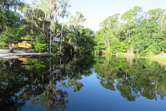 Cypress Forest: Guided Nature Kayak Eco-Tour - Leaving Orlando for Shingle Creek
