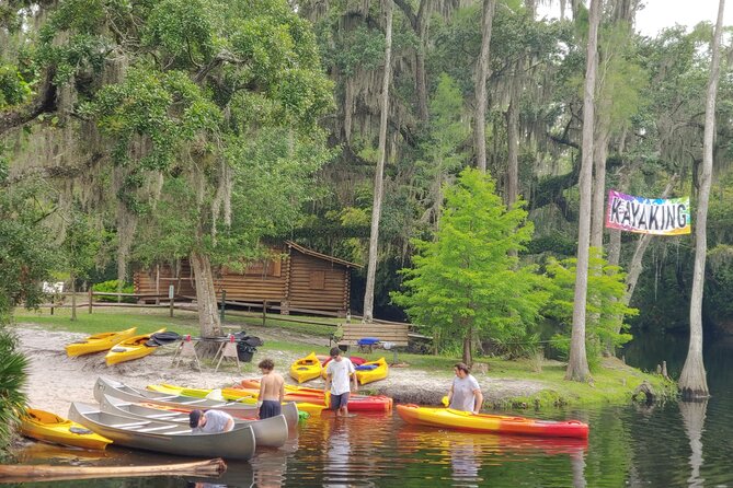 Cypress Forest: Guided Nature Kayak Eco-Tour - Wildlife without a guarantee