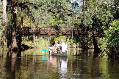 Cypress Forest: Guided Nature Kayak Eco-Tour