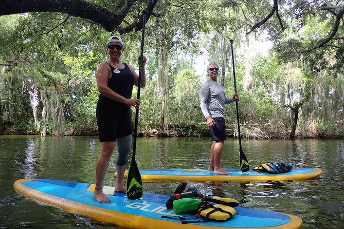 Dora Canal Wildlife Kayak Tour – Scenic Old Florida - Key points at a glance
