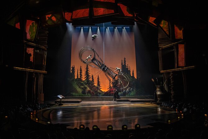 Drawn to Life presented by Cirque du Soleil and Disney - Where the experience may fall short
