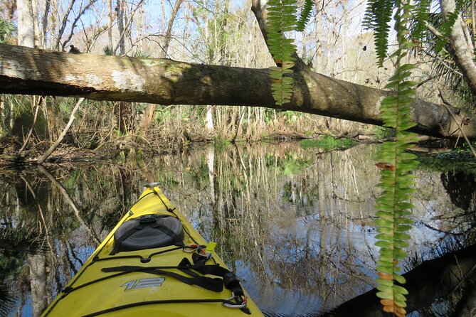 Exclusive Nature Escape Kayak Adventure on Blackwater Creek - Key points to know before you book