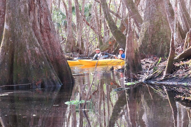 Exclusive Nature Escape Kayak Adventure on Blackwater Creek - Why Blackwater Creek feels far from Orlando