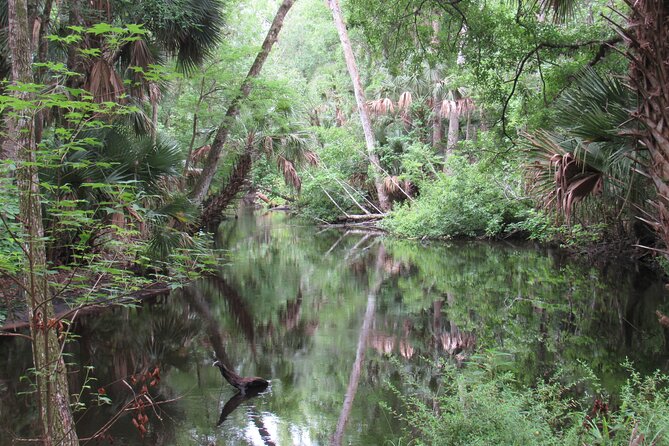 Exclusive Nature Escape Kayak Adventure on Blackwater Creek - Wildlife watching without guarantees