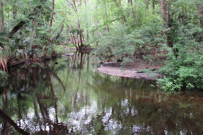Exclusive Nature Escape Kayak Adventure on Blackwater Creek - Why the six-person limit matters