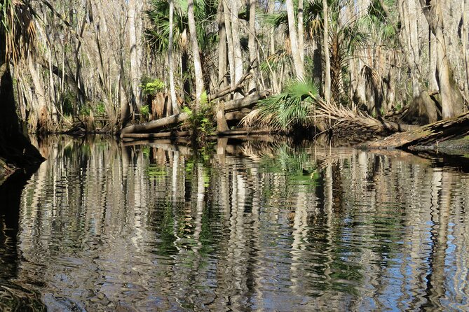 Exclusive Nature Escape Kayak Adventure on Blackwater Creek - What you are really paying for at $90