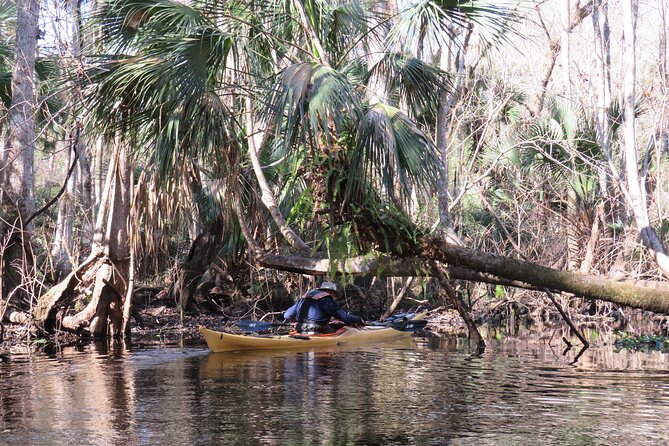 Exclusive Nature Escape Kayak Adventure on Blackwater Creek - Who should book this paddle
