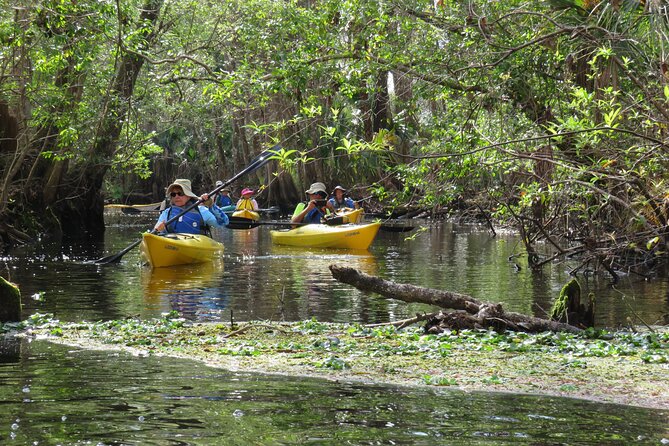 Exclusive Nature Escape Kayak Adventure on Blackwater Creek - Practical clothing and packing advice
