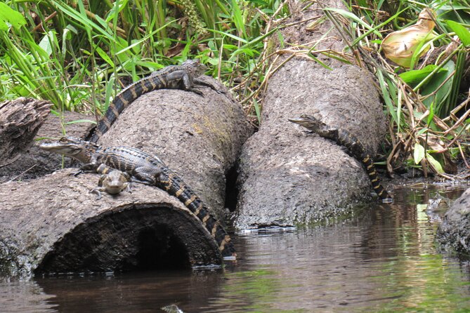 Exclusive Nature Escape Kayak Adventure on Blackwater Creek - What happens at the 9:00 am meeting point