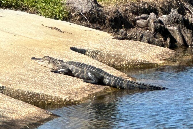 Experience Kissimmee Lakefront Mountain Bike Tour (2 Hours) - Kissimmee to St. Cloud along the lakefront