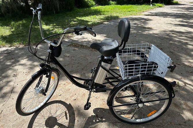 Experience Wild Florida Nature Up Close on Electric Trike (2 hrs) - Key Points at a Glance