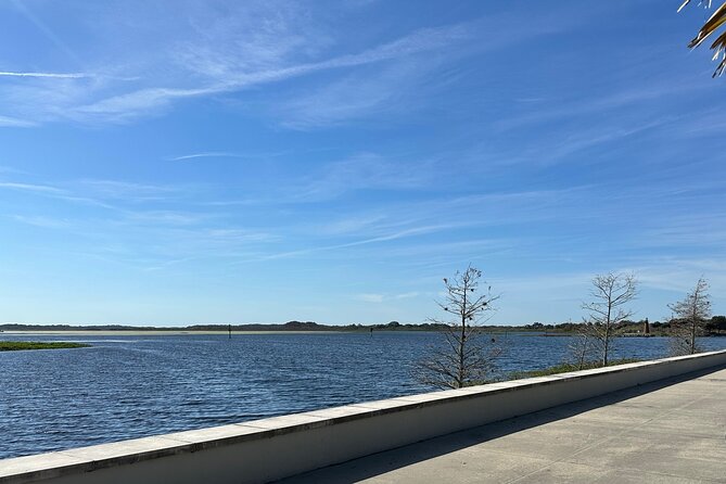 Experience Wild Florida Nature Up Close on Electric Trike (2 hrs) - The Ride Back Along Florida’s Waterways