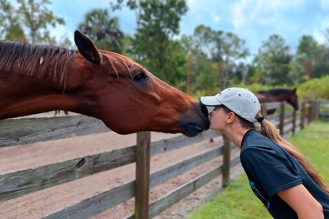 Farm Experience with Ponies, Bunnies, Chickens and Goats - Meeting the Horses, Ponies, and Smaller Farm Animals