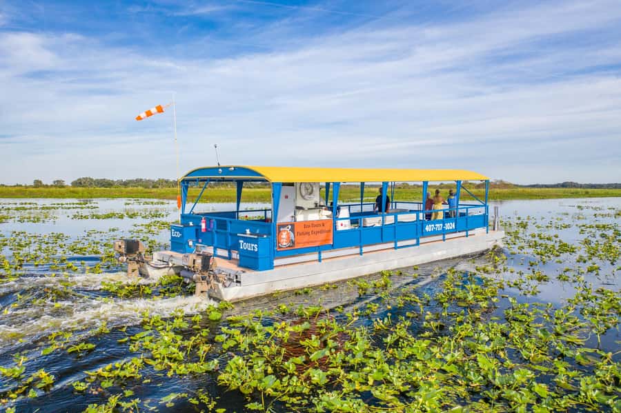 Florida: 90 Minute Everglades Cruise - What this Kissimmee eco cruise is really about